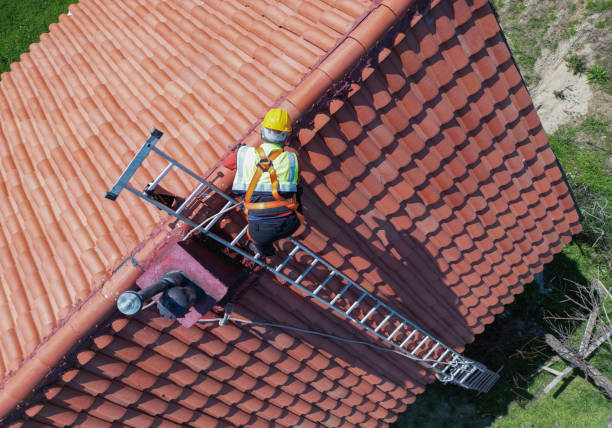 Best Roof Maintenance and Cleaning  in Thorp, WI